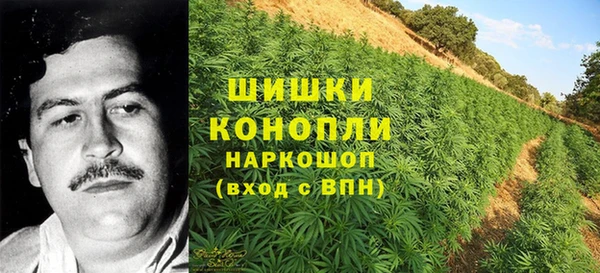 альфа пвп Нязепетровск