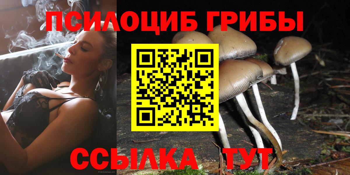 Галлюциногенные грибы Magic Shrooms Хабаровск