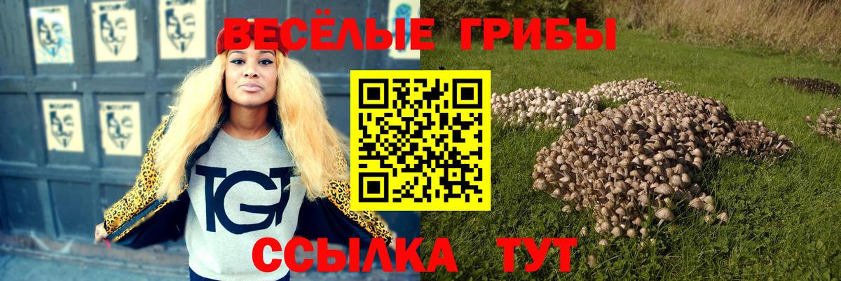 Галлюциногенные грибы мухоморы  Вход с VPN  Хабаровск 